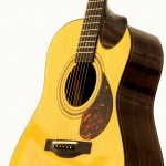 Schachle-Guitars- 11